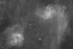 OLG-003_06