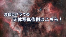 TS-Te29_11
